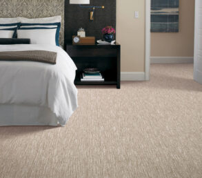 New Carpet